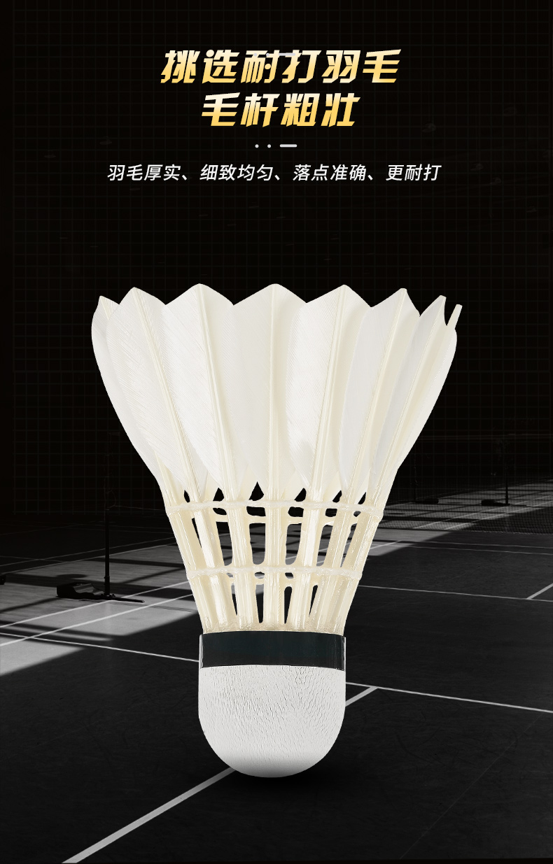 New 12PCS Professional Badmint - Badminton Event ulasan dan harga