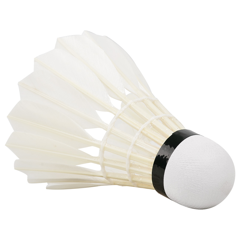 New 12PCS Professional Badmint - Badminton Event ulasan dan harga