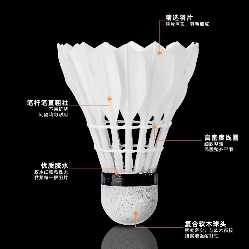 Lion Badminton Shuttlecock Goo - Badminton Event ulasan dan harga