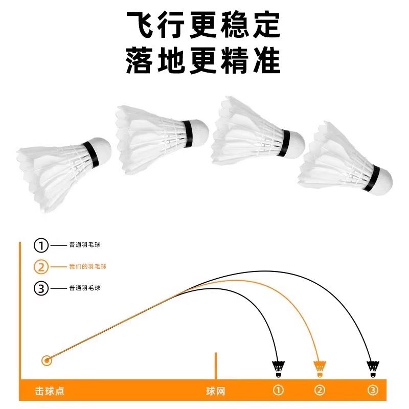 Lion Badminton Shuttlecock Goo - Badminton Event ulasan dan harga