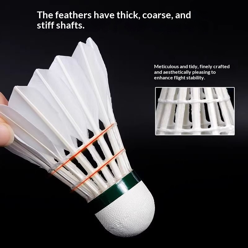 Club Training Ball VICTOR Vola - Victor Shuttlecock Feather ulasan dan harga