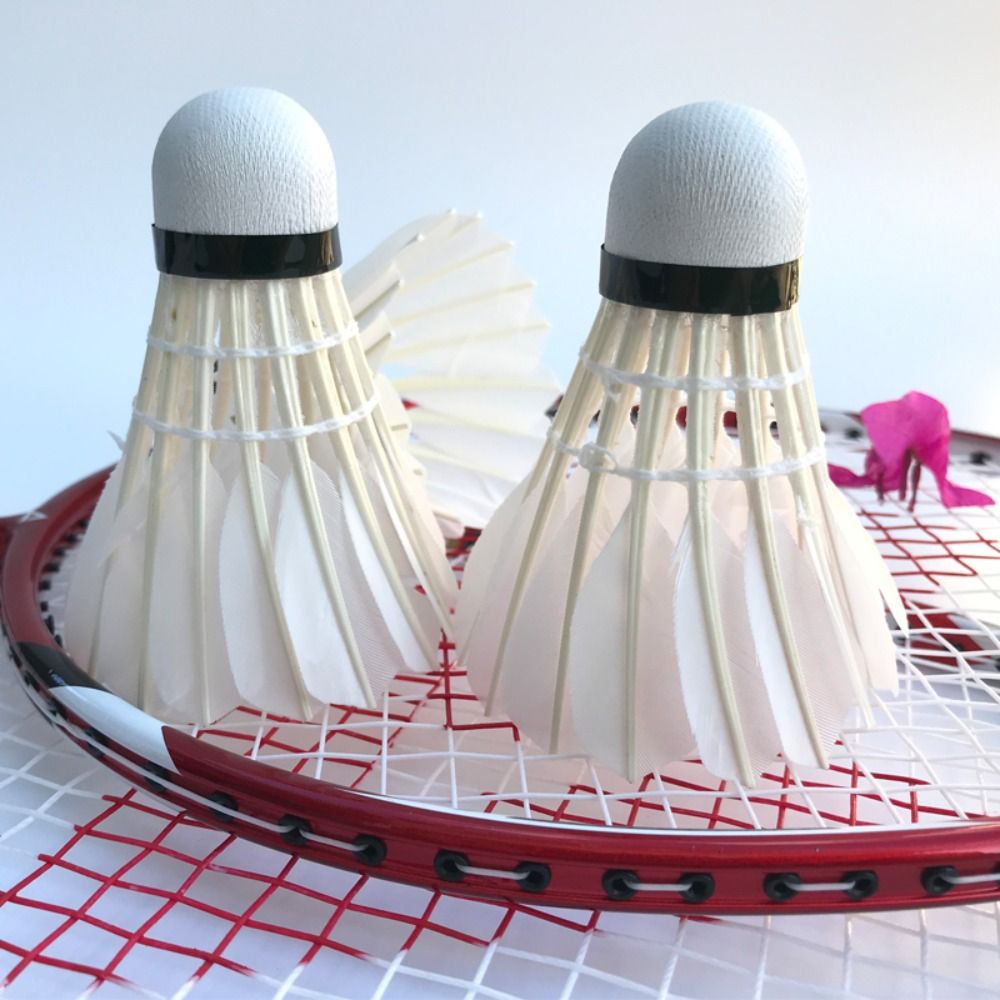 3/6/12Pcs New White Badminton  - Badminton Event ulasan dan harga